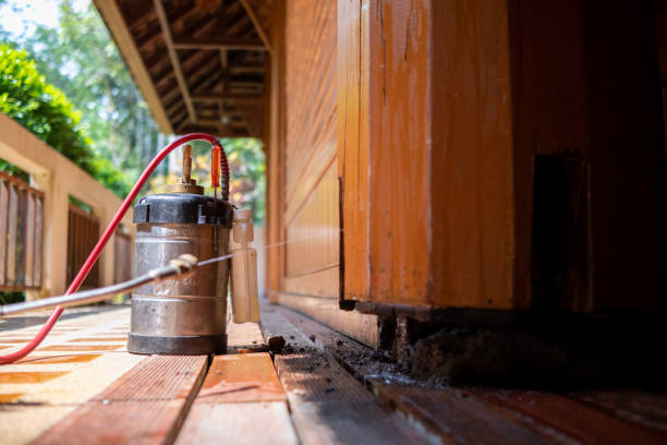 Best Best Pest Control Companies  in Seminole, FL