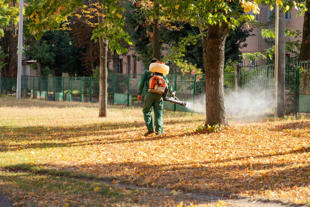 Best Affordable Pest Control Services  in Seminole, FL