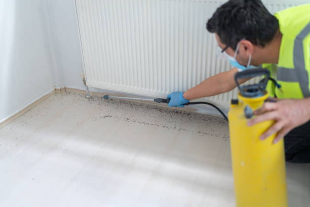 Best Best Pest Control Companies  in Seminole, FL